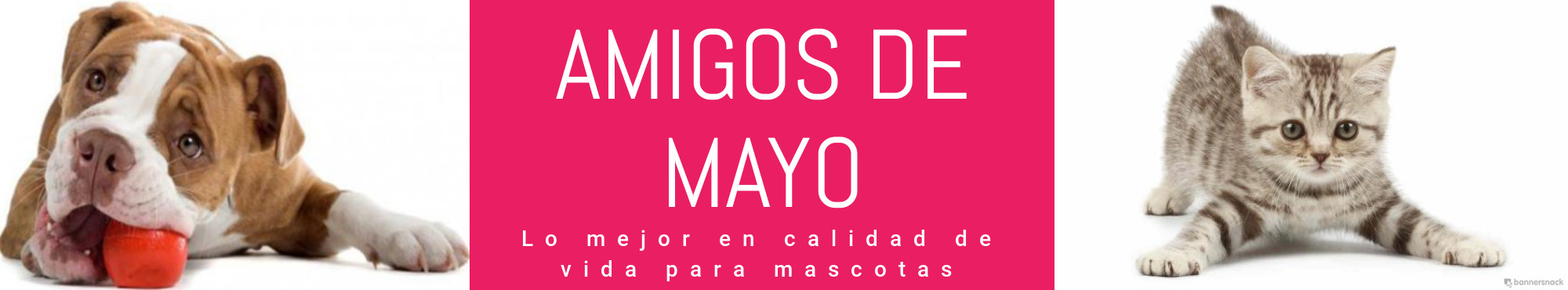 Micrositio de Amigos de Mayo